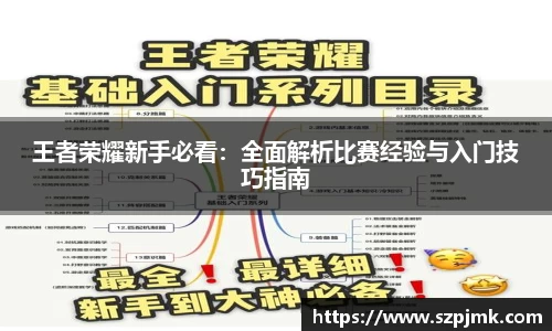 王者荣耀新手必看：全面解析比赛经验与入门技巧指南