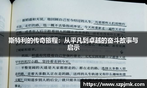 斯特利的传奇旅程：从平凡到卓越的奋斗故事与启示