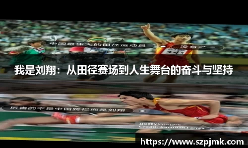 我是刘翔：从田径赛场到人生舞台的奋斗与坚持