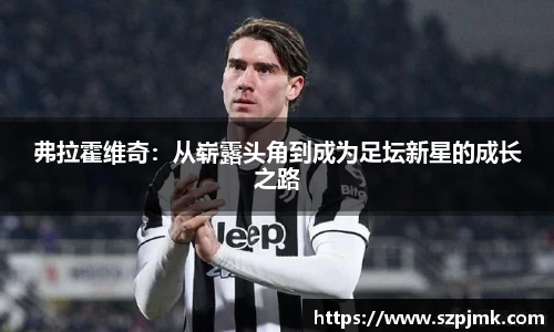 弗拉霍维奇：从崭露头角到成为足坛新星的成长之路